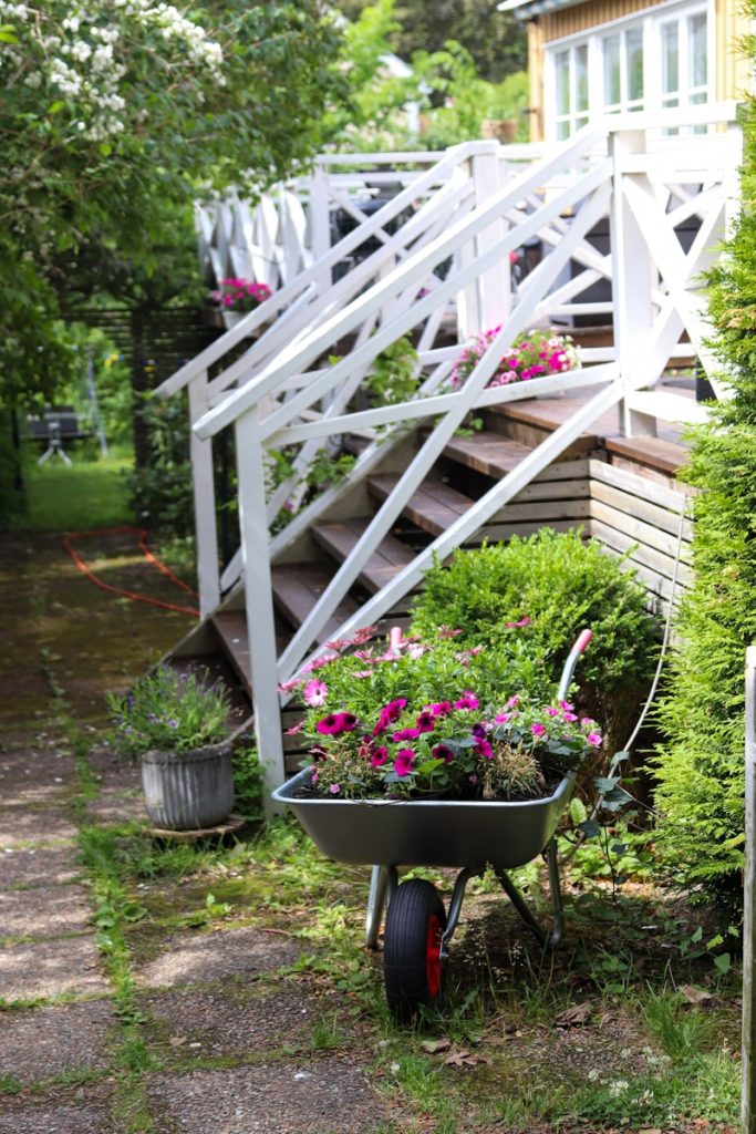 Une brouette remplie de fleurs se trouve à l'extérieur.